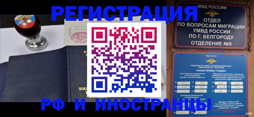 временная регистрация поиск в Полярном